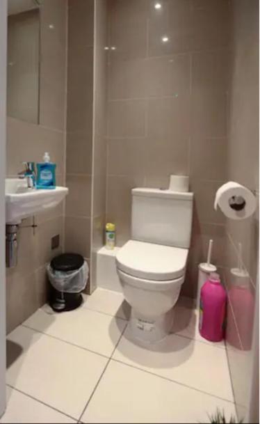 Cosy Private Rooms In Euston Square, Central لندن المظهر الخارجي الصورة